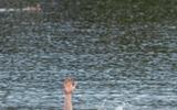 IMG_20240619_111901_219