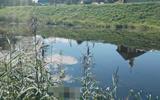 IMG_20250821_093805
